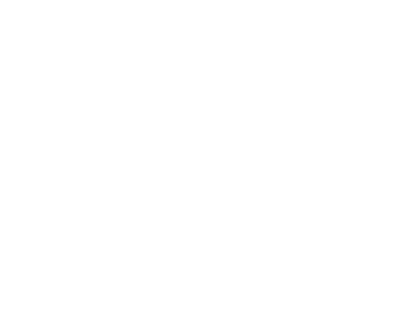 logo Tryfonidi white